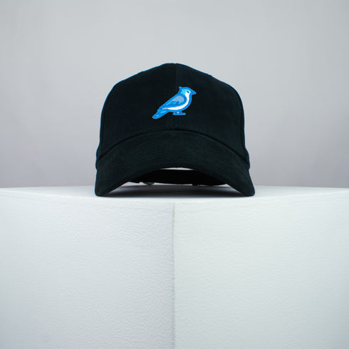 Blue Jay Bird Baseball Cap