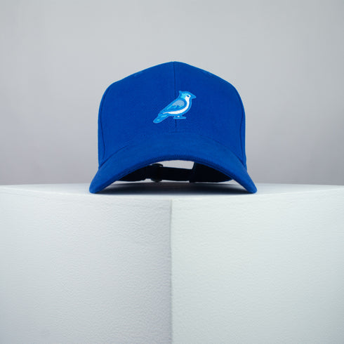 Blue Jay Bird Baseball Cap