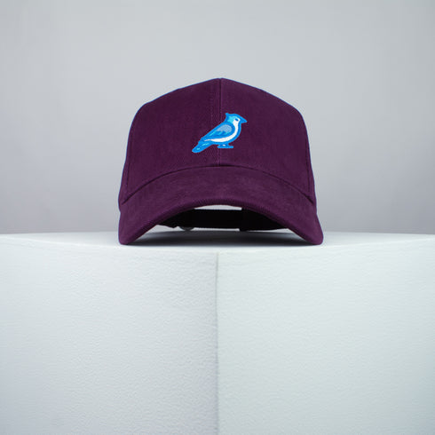 Blue Jay Bird Baseball Cap