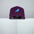 Blue Jay Bird Baseball Cap