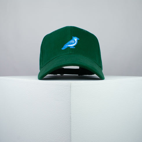 Blue Jay Bird Baseball Cap