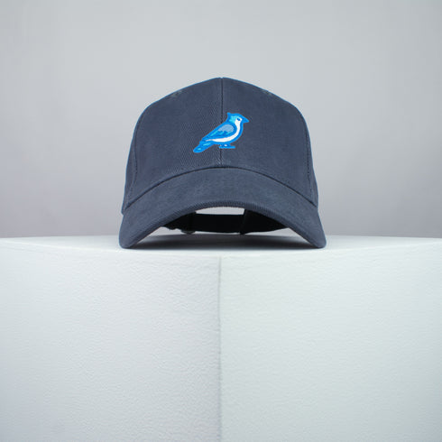 Blue Jay Bird Baseball Cap