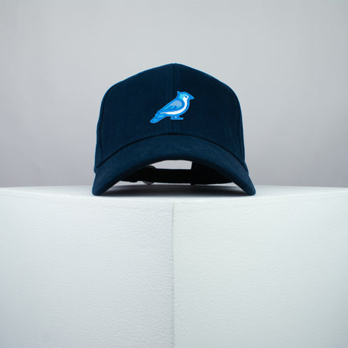 Blue Jay Bird Baseball Cap