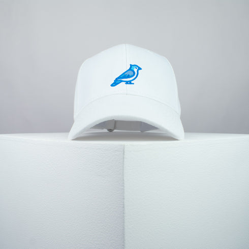 Blue Jay Bird Baseball Cap