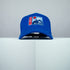 Mount Fuji Baseball Cap - Japanese Collection