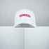 NothinToDo / Nintendo Baseball Cap - Brand Twisters Collection