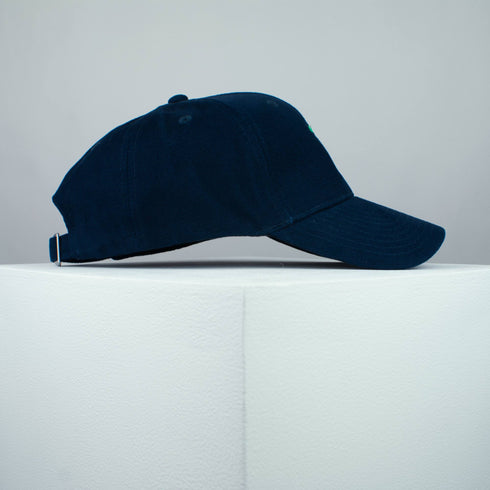 Sea Turtle Baseball Cap