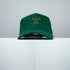 Sea Turtle Baseball Cap
