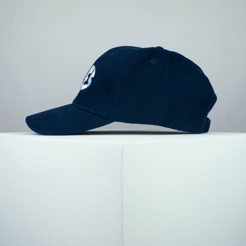 Vibes Baseball Cap