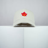 Autumn / Fall Leaf Baseball Cap