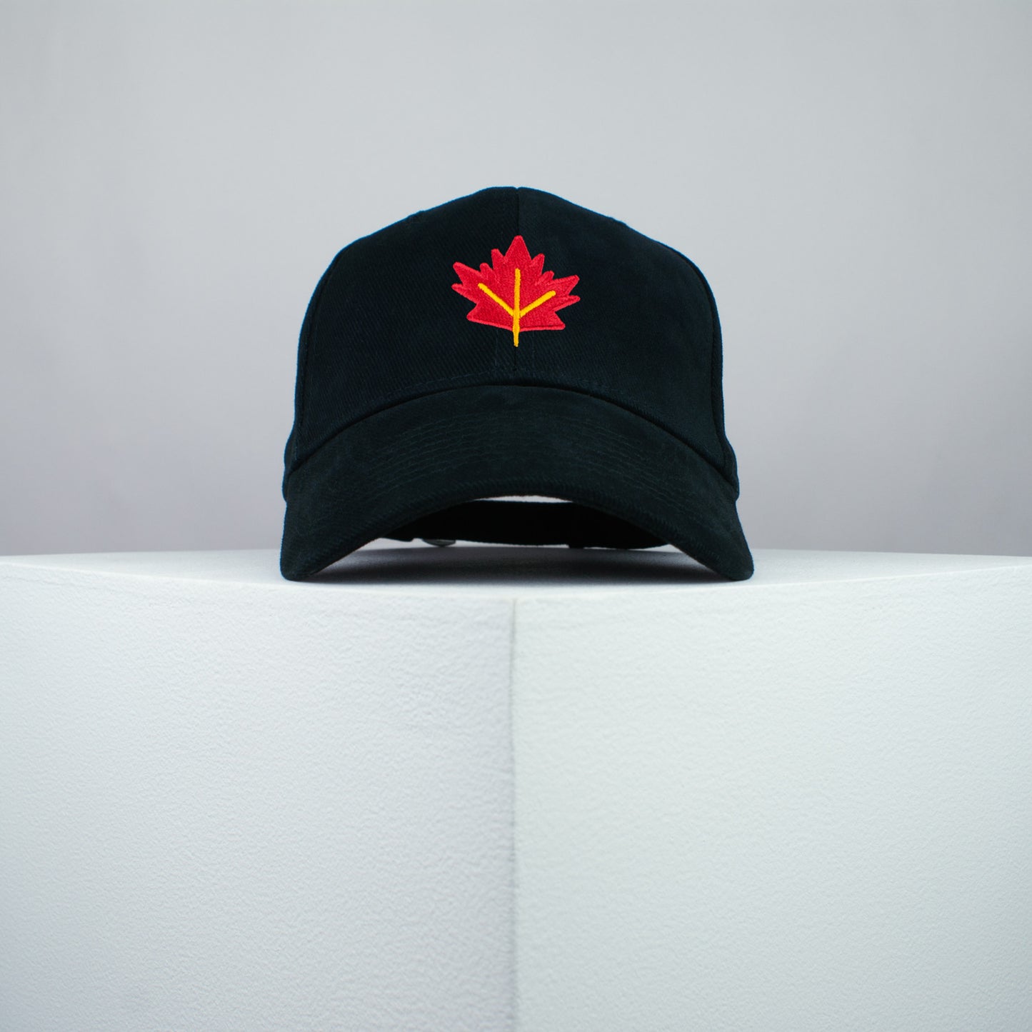 Autumn / Fall Leaf Baseball Cap