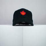 Autumn / Fall Leaf Baseball Cap