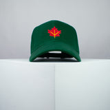 Autumn / Fall Leaf Baseball Cap