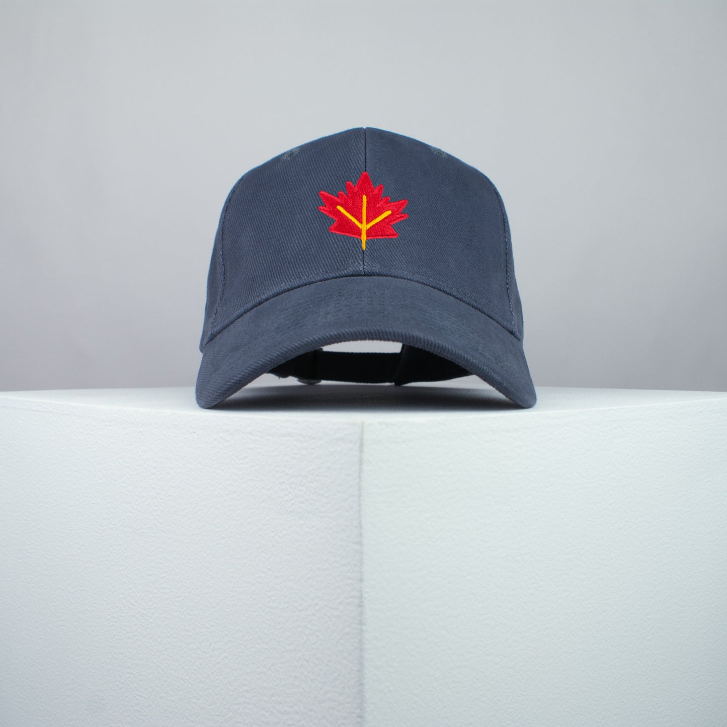 Autumn / Fall Leaf Baseball Cap