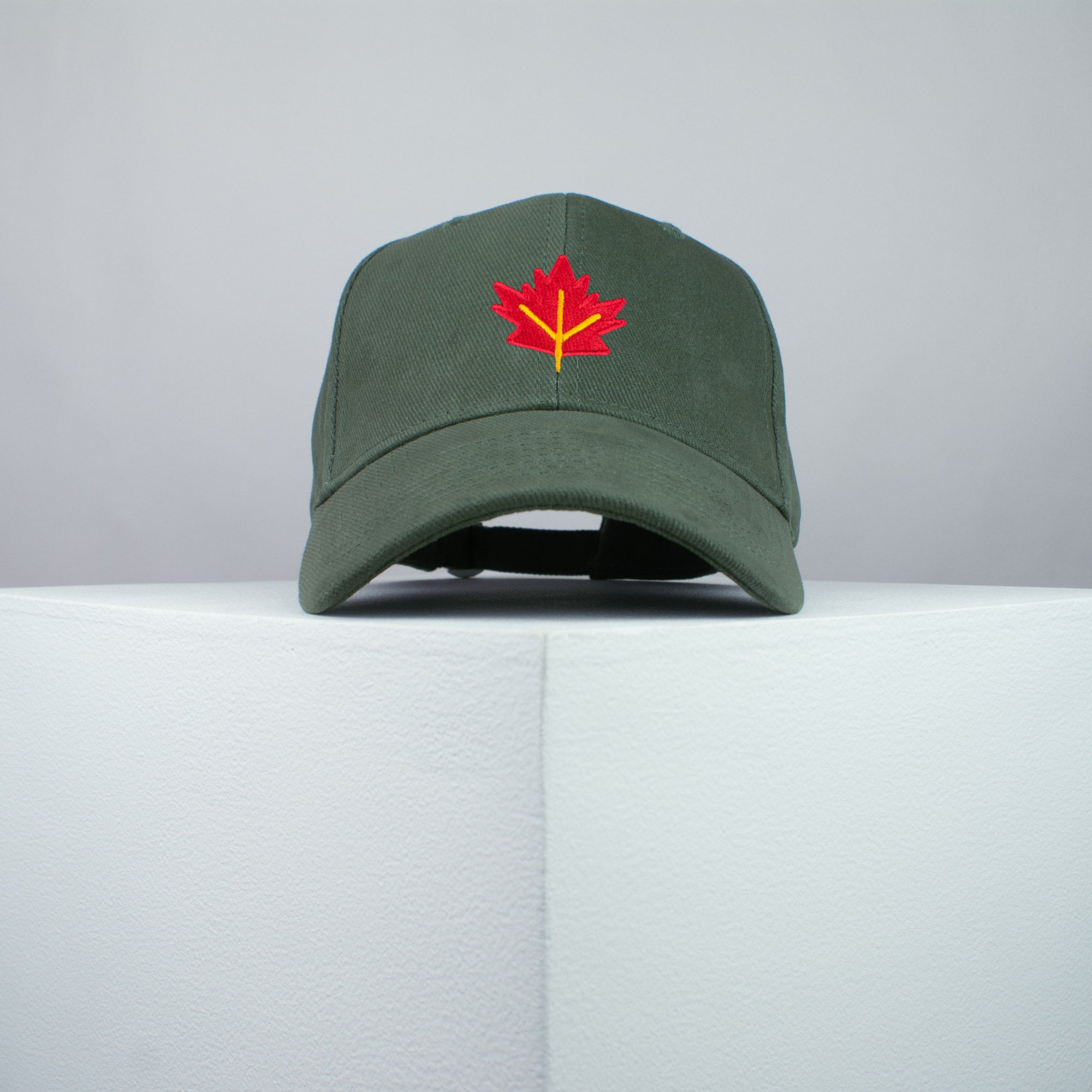 Autumn / Fall Leaf Baseball Cap