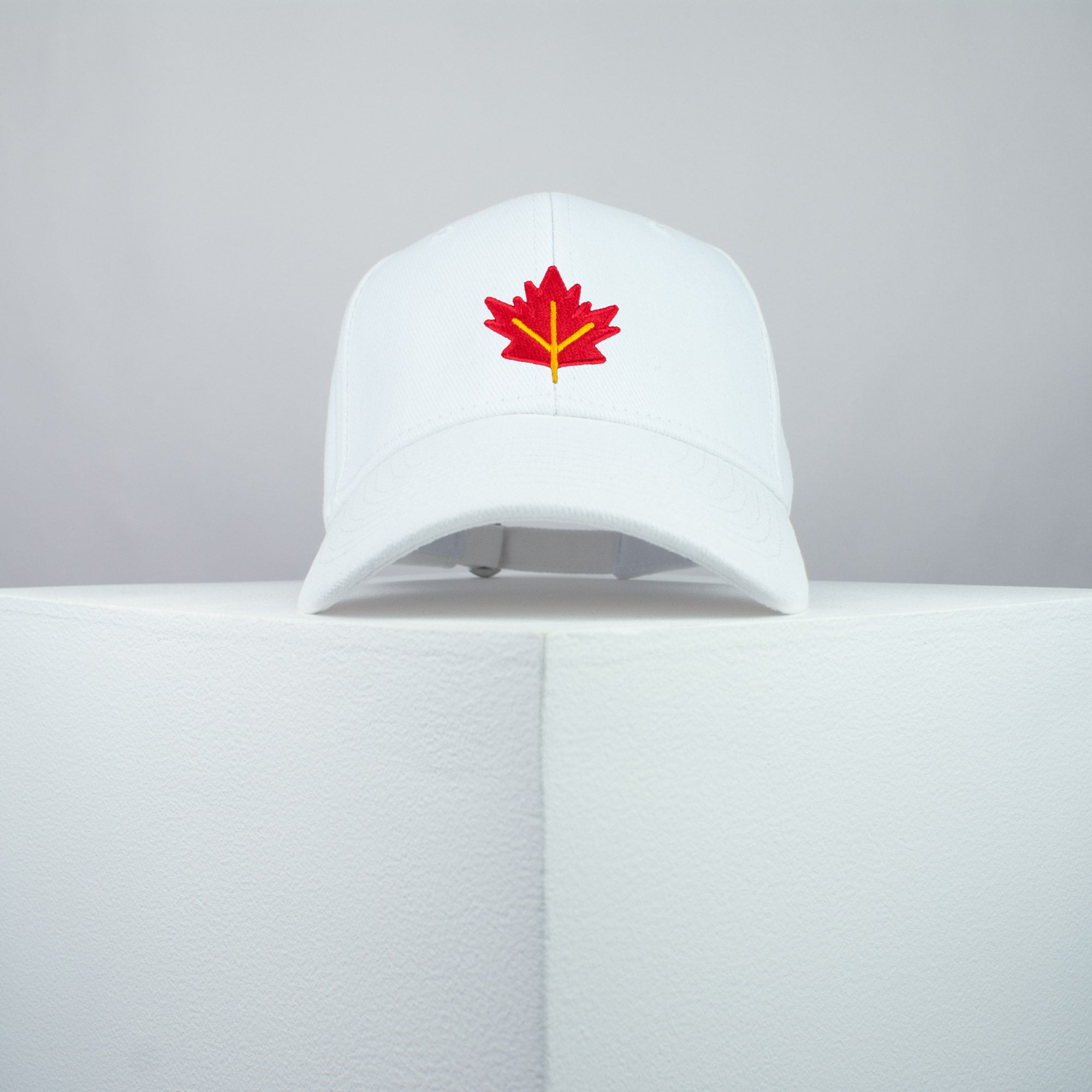 Autumn / Fall Leaf Baseball Cap