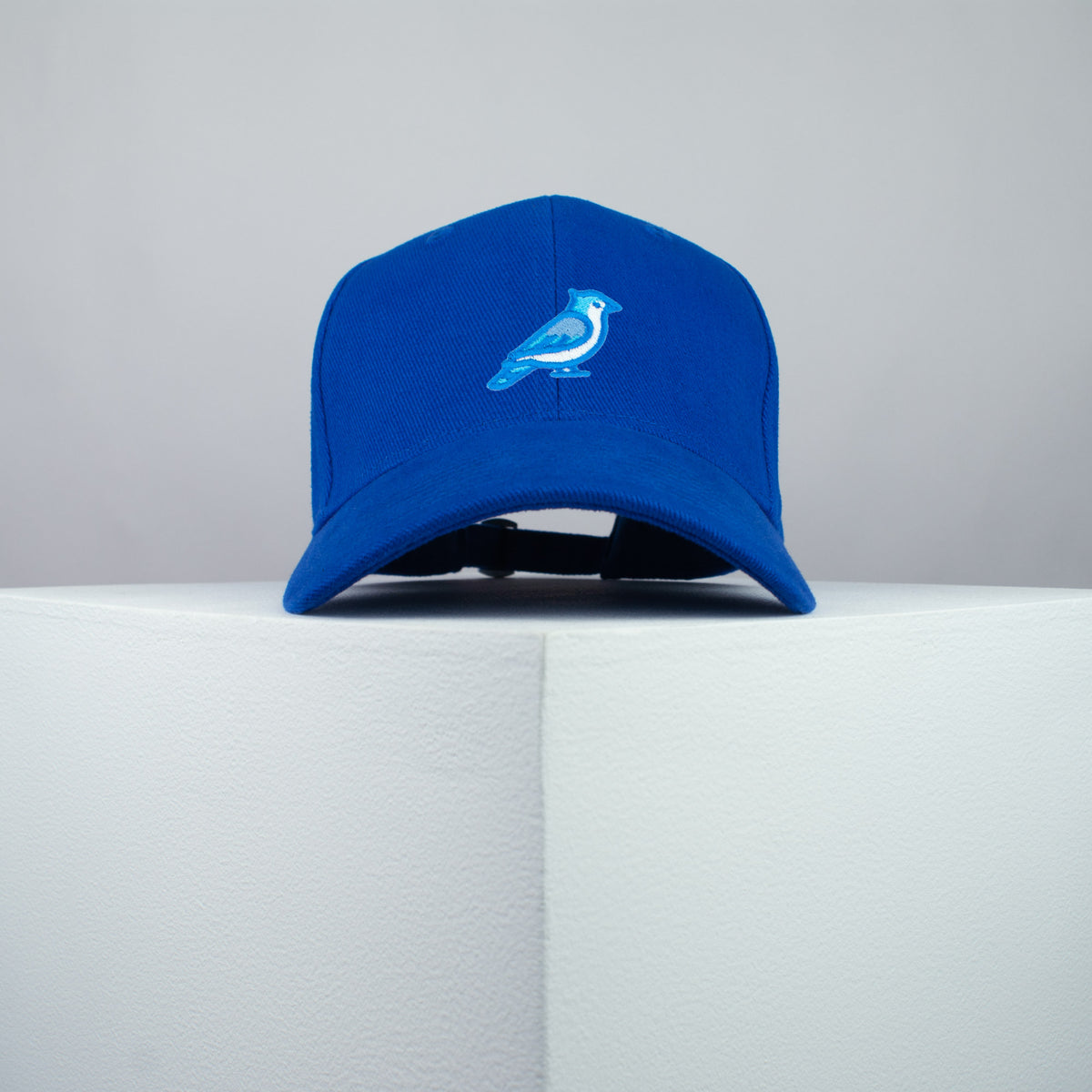 Blue Jay Bird Baseball Cap