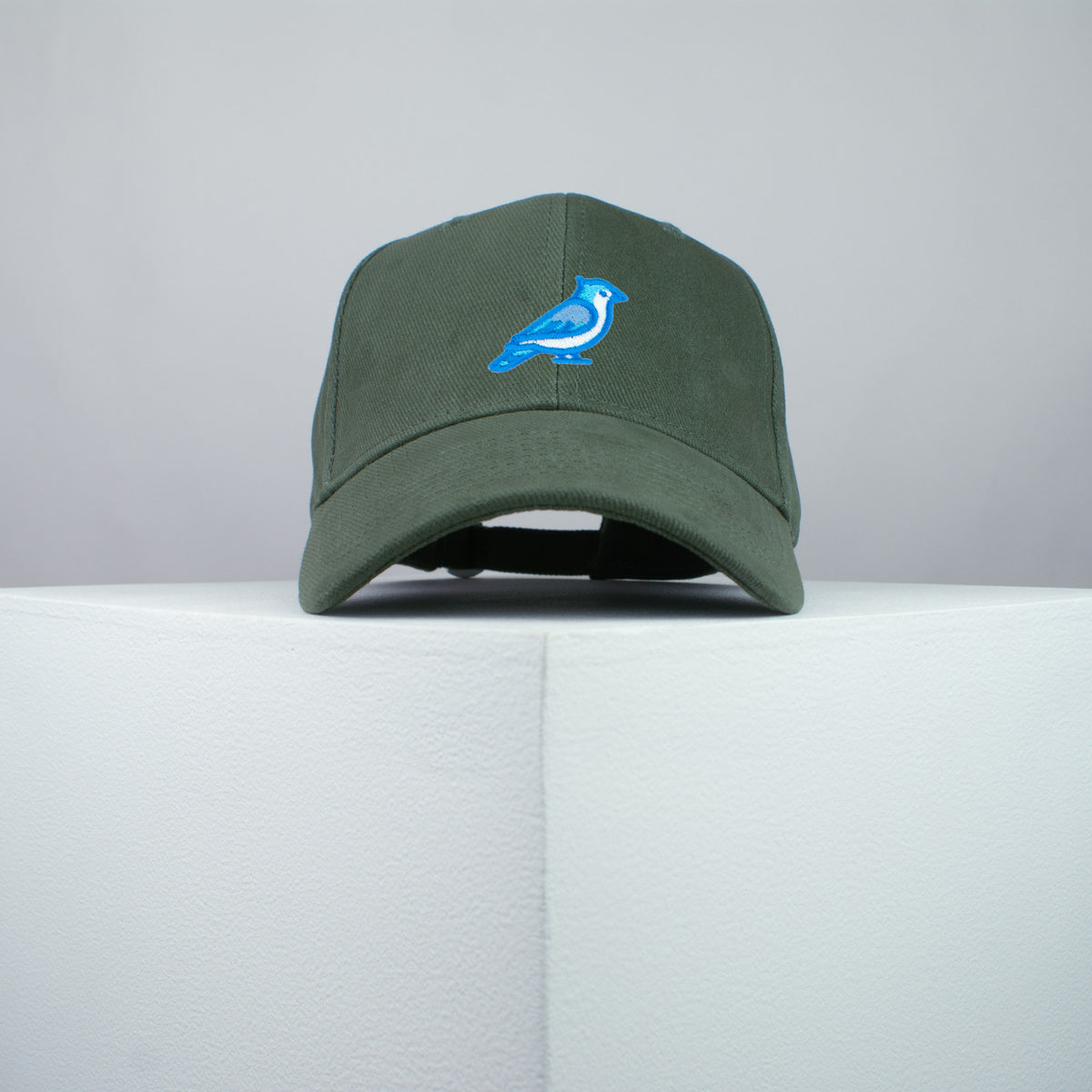 Blue Jay Bird Baseball Cap