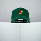 Parrot Baseball Cap