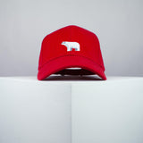 Polar Bear Baseball Cap