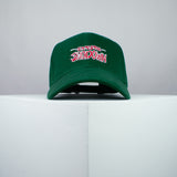 Samurai Shodown Nintendo Gameboy game embroidered baseball cap green / retro / vintage / gamer / gaming / embroidery / patch / hat / dad hat / cap / iron on patch / embroidered patch / badge / applique / embroidered / punk patches / trucker hat / snapback / caps / dad hats / baseball hat / mens hat / womens hat / embroidered hat / dad cap / embroidered cap