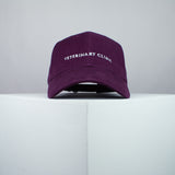 Veterinary Clinic embroidered baseball cap burgundy / animal / pet / cat / dog / embroidery / patch / hat / dad hat / cap / iron on patch / embroidered patch / badge / applique / embroidered / punk patches / trucker hat / snapback / caps / dad hats / baseball hat / mens hat / womens hat / embroidered hat / dad cap / embroidered cap