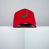 Watermelon embroidered baseball cap red / melon / summer / fruit / vegan / embroidery / patch / hat / dad hat / cap / iron on patch / embroidered patch / badge / applique / embroidered / punk patches / trucker hat / snapback / caps / dad hats / baseball hat / mens hat / womens hat / embroidered hat / dad cap / embroidered cap