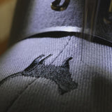 Standing Black Cat Baseball Cap