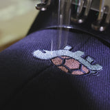 Turtle Baseball Cap