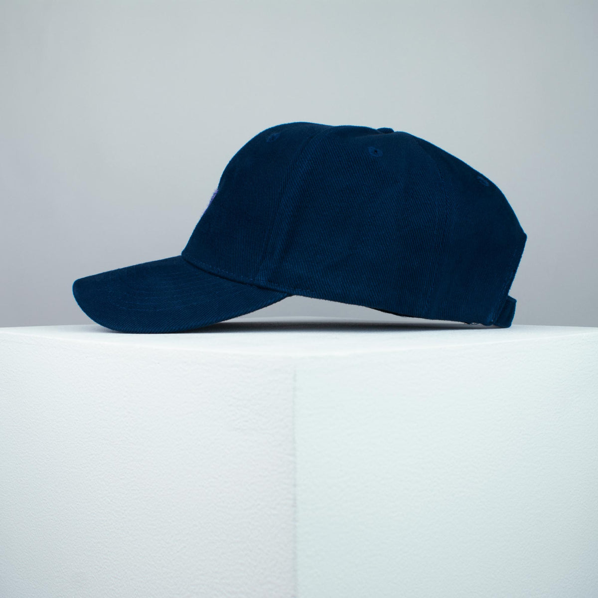 Blueberry embroidered baseball cap navy blue / vegan / gift / food / embroidery / patch / hat / dad hat / cap / iron on patch / embroidered patch / badge / applique / embroidered / punk patches / trucker hat / snapback / caps / dad hats / baseball hat / mens hat / womens hat / embroidered hat / dad cap / embroidered cap 4