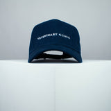 Veterinary Clinic embroidered baseball cap navy / animal / pet / cat / dog / embroidery / patch / hat / dad hat / cap / iron on patch / embroidered patch / badge / applique / embroidered / punk patches / trucker hat / snapback / caps / dad hats / baseball hat / mens hat / womens hat / embroidered hat / dad cap / embroidered cap